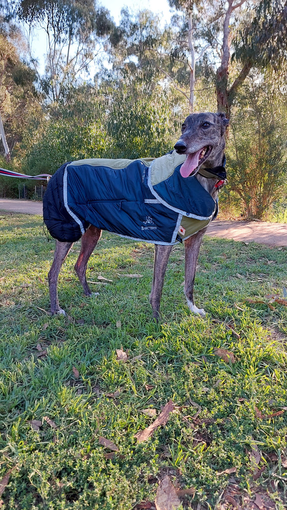 BARC'TERYX REBIRD Upcycled Dog Jacket Large